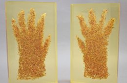 Teresa Murak, Ohne Titel (Handschuhe), 1975/76 zwei Handschuhe